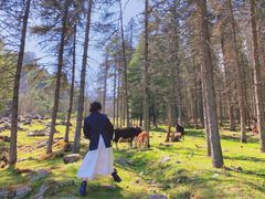 -硗碛藏寨·神木垒景区