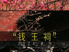 -钱王祠