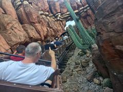 -巴黎迪士尼乐园