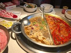 -小龙坎火锅(全球旗舰店)