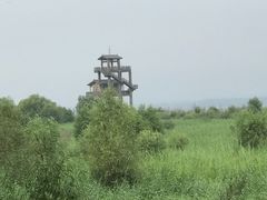 -野鸭湖国家湿地公园