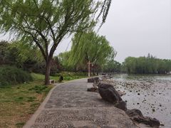 -洛阳市隋唐城遗址植物园