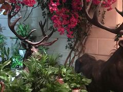 -翡翠小城·海鲜豆捞·广式点心(老佛爷店)