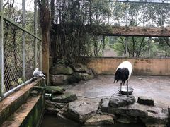 -宁波野生动物园