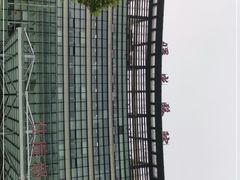 -上海中医药大学附属曙光医院(东部)