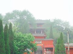 -龙门李家三旦羊肉汤馆