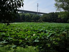 -金陵矩阵(聚宝山公园店)