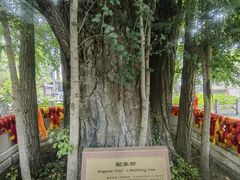 -潭柘寺景区