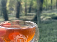 -野蔓果·山野菜(西湖景区·龙井茶田店)