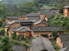 -杨家堂村