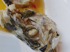 -金狮国际酒店自助餐(金狮店)