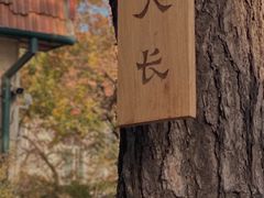 -如花大师咖啡·
