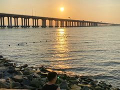 -宝安西湾红树林湿地公园