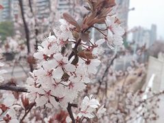 -摇滚披萨(长春街店)