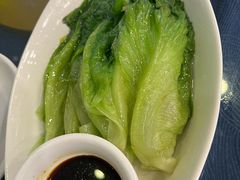 -金龙寨(龙城路店)