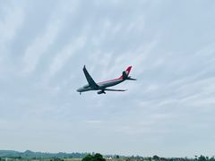 -空港花田景区