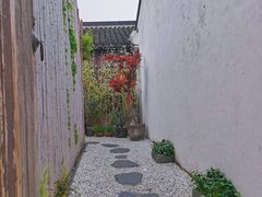 -青果巷历史文化街区