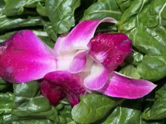 -千牛将·鲜牛肉火锅(开元路店)