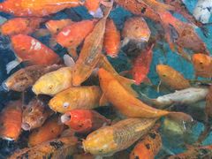 景点-宝墨园景区