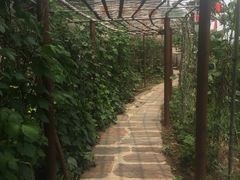 -南窖乡水峪村山情农家