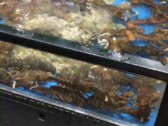 -盒马鲜生(皇庭广场店)