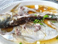 -小六农家乐(崇明西沙湿地店)