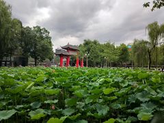 -四川大学(望江校区)
