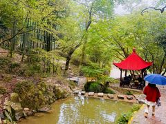 -莫干山风景区