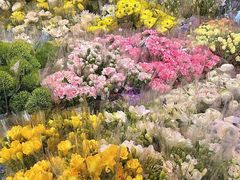 -循礼门鲜花花市(武汉循礼门店)