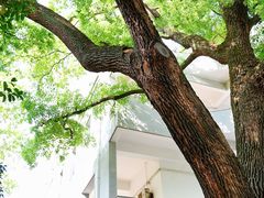 -湖北美术学院(昙华林校区)