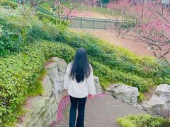 -重庆彩云湖湿地公园