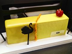 -BLACKSWAN黑天鹅(环球店)