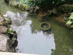 -中国茶叶博物馆(双峰馆区)