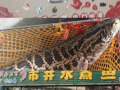 -金三可市井水煮鱼(金碧园店)