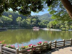 -广州市帽峰山景区
