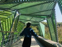 -西湖风景区-江洋畈生态公园