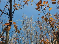 -白塘生态植物园