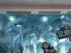 -帝企鹅自助餐厅•儿童岛•真企鹅(长隆企鹅酒店)