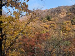 -大岭沟猕猴桃谷风景区