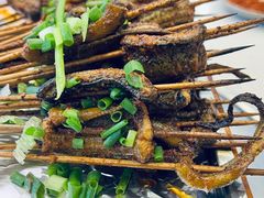 鳝鱼-晓靖轩烧烤(沙河风情店)