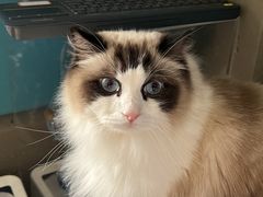 -零纪元VR体验馆·桌游(黄浦店)