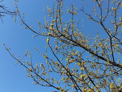 -狼山风景名胜区