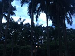 -广东外语外贸大学(白云山校区)