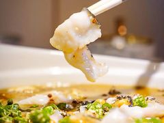 -蜀腾川·火锅鱼.烤鱼(新世界城店)