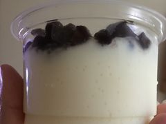 -老周记顺德双皮奶