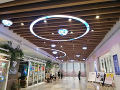 -猫的天空之城概念书店(印象城购物中心店)