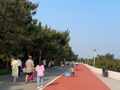 -日照海滨国家森林公园