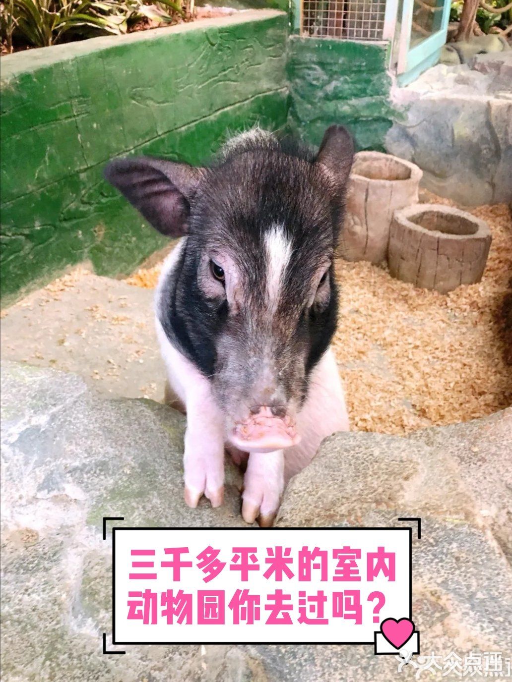 三千多平米的室内动物园你去过吗？