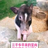 三千多平米的室内动物园你去过吗？