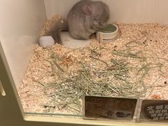 -龙猫仔乐园(惠福东路店)